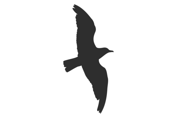 Download Flying Bird Black Silhouette. Wild Fauna - Premium Resources
